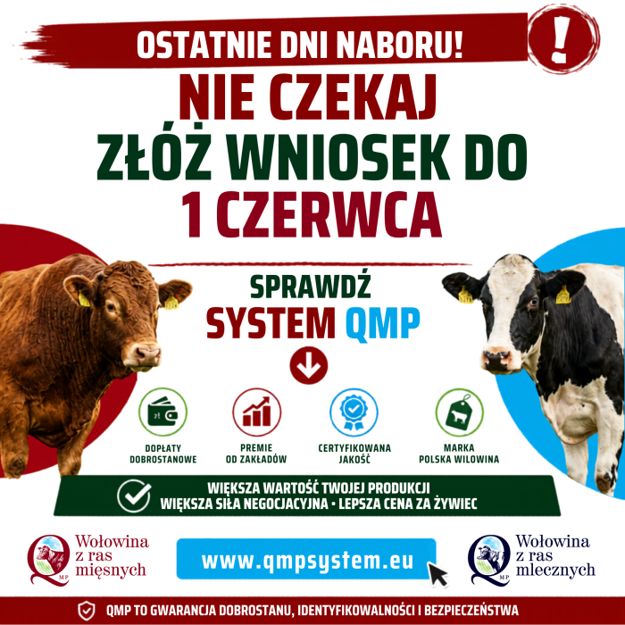 Miniaturka artykułu Ekoschemat „Dobrostan zwierząt” Dodatkowe pieniądze dla hodowców z QMP – tylko do 1 czerwca!